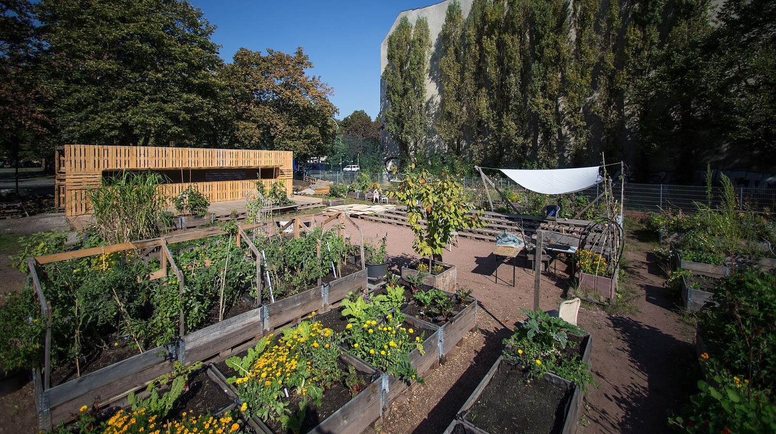 Urban Gardening: Grünes Leben in der Stadt